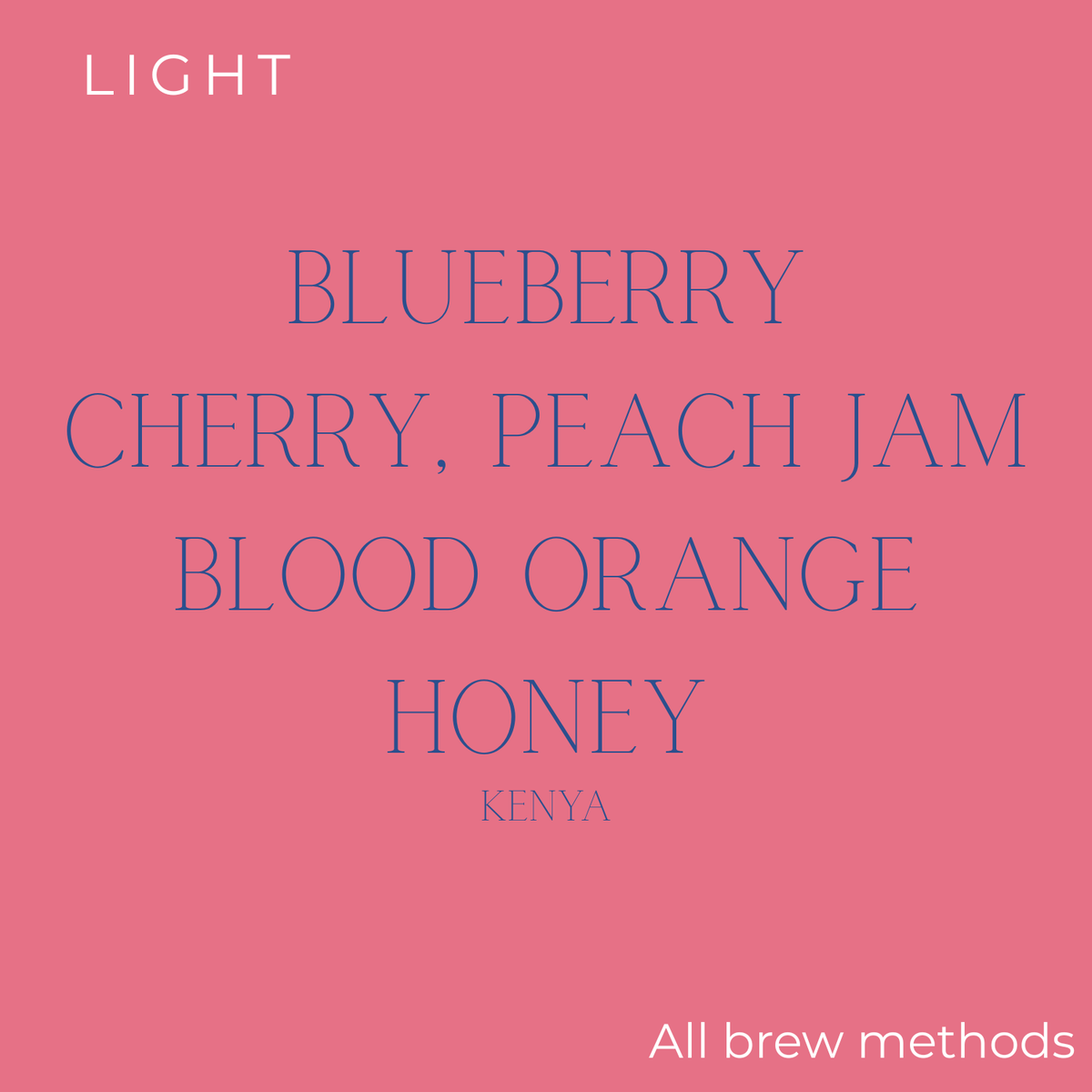 Rogue Wave - Kenya - Muranga Kanguya Factory "Berry Mousse" Coffee Beans