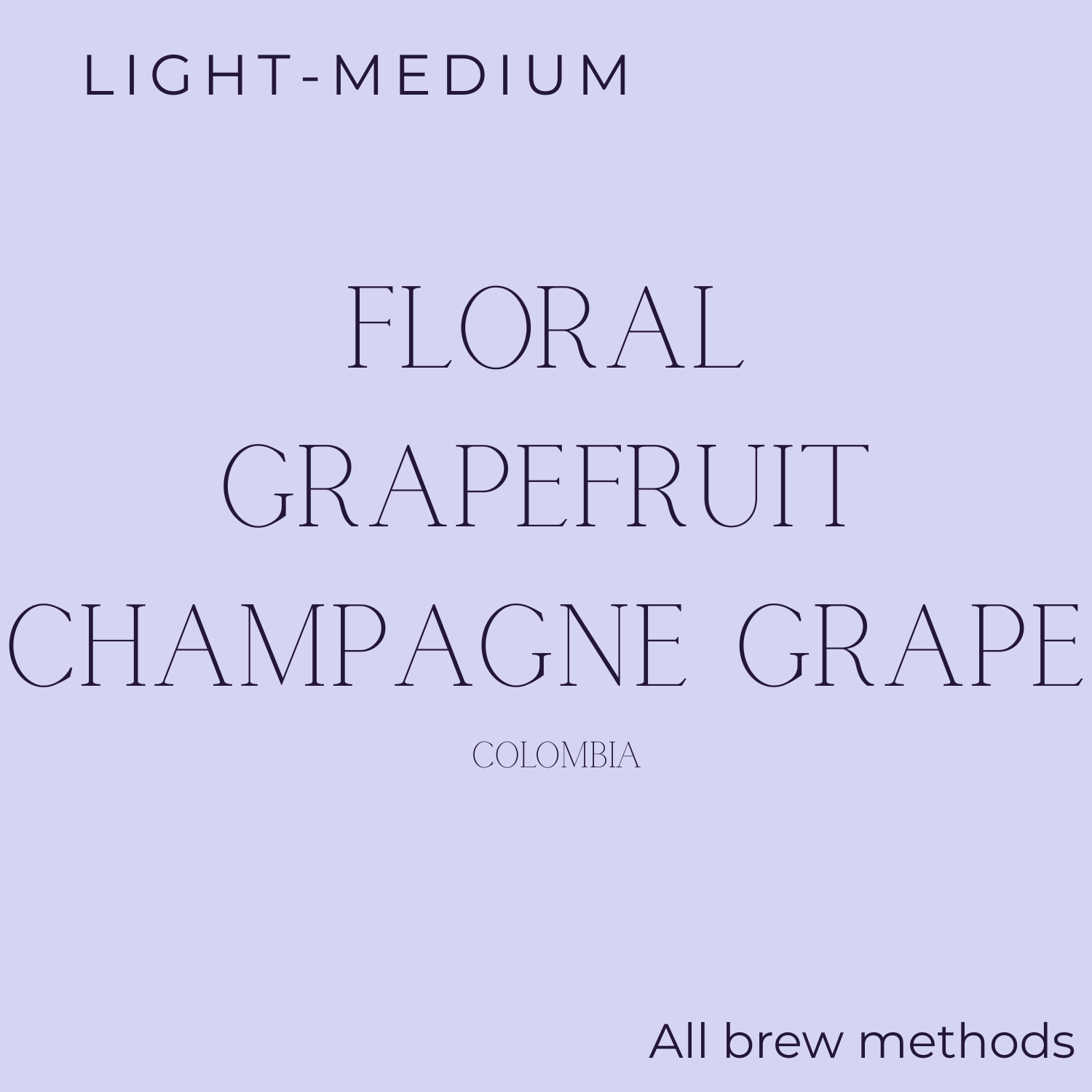 David Kim Coffee - KIYALO - Wilder Lazo Colombia Natural Gesha Coffee Beans