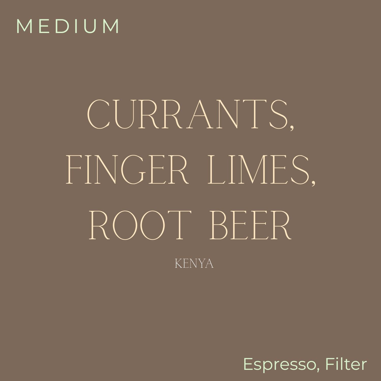 Cafe Jindo Lost in Your Currant Coffee Beans