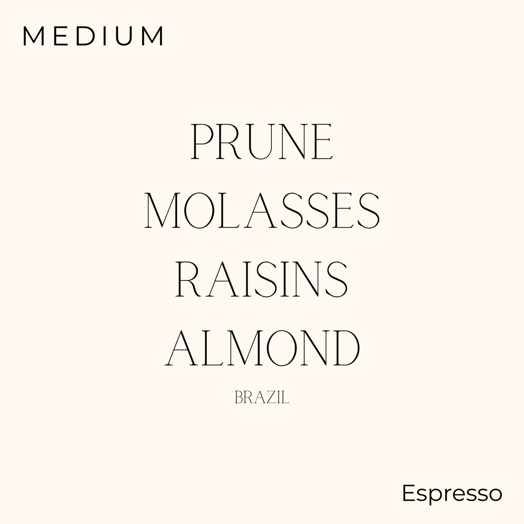 évery - Brazil - Marcelo Nogueira Assis x Flavio Marcio Silva Coffee Beans
