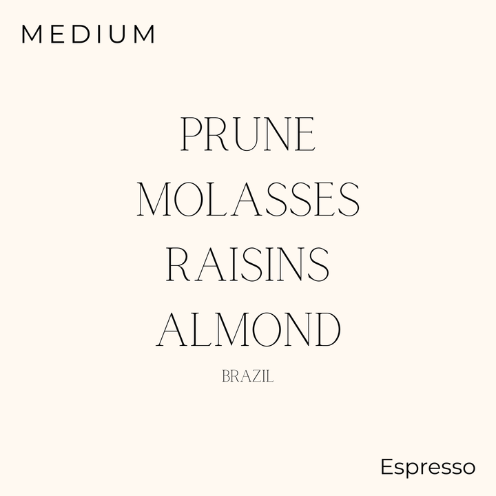 évery - Brazil - Marcelo Nogueira Assis x Flavio Marcio Silva Coffee Beans