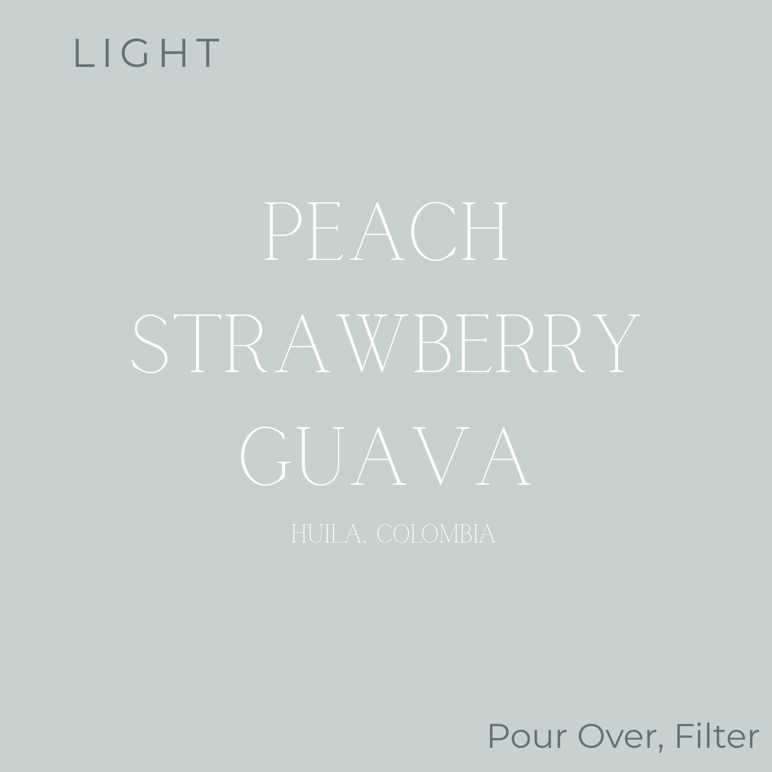 Anecdote Coffee Roasters Marta Bayter Coffee Beans