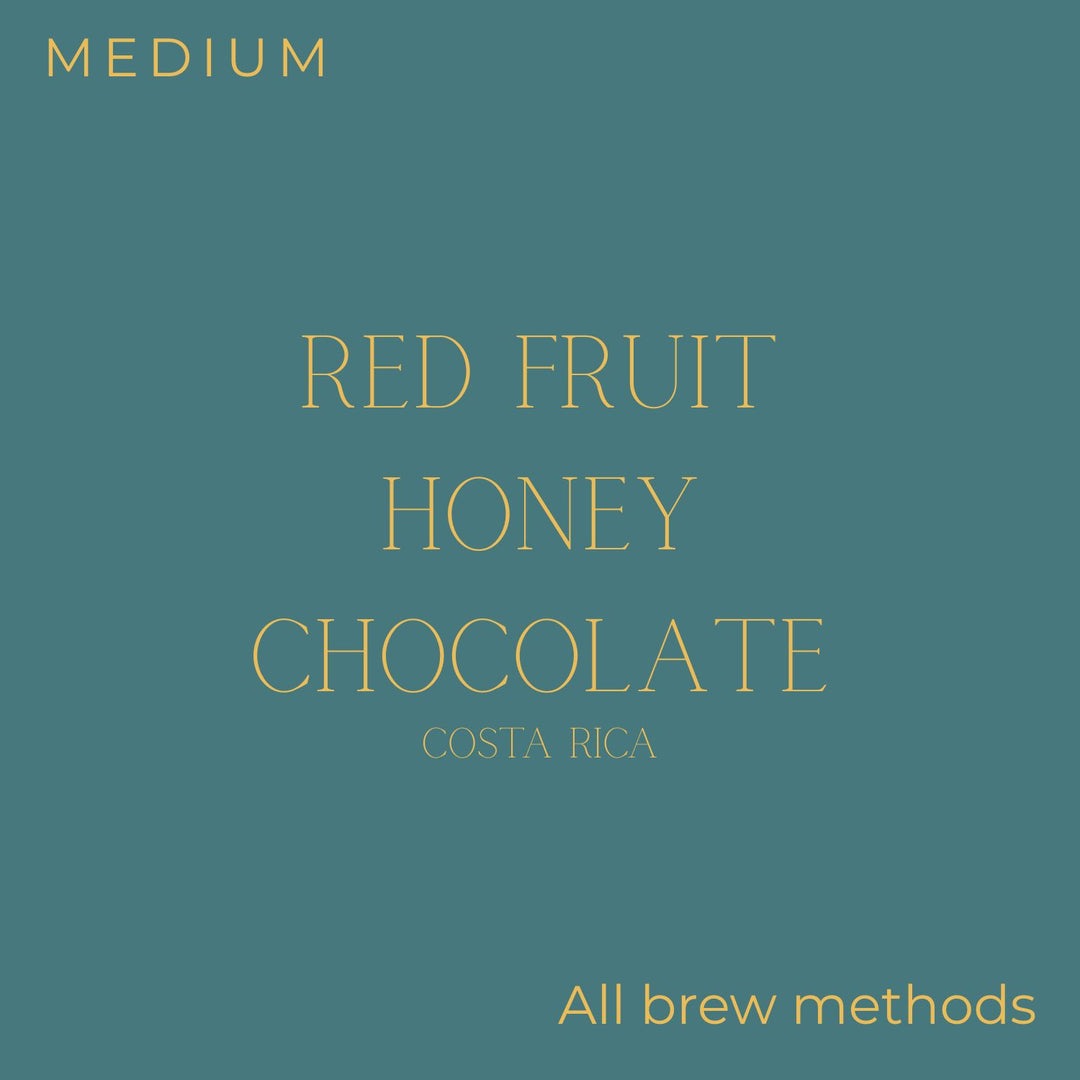 Transcend Coffee - Costa Rica - MICEPA Natural Coffee Beans