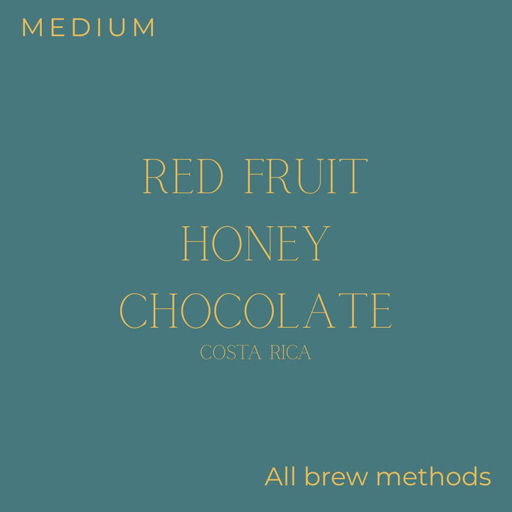 Transcend Coffee - Costa Rica - MICEPA Natural Coffee Beans