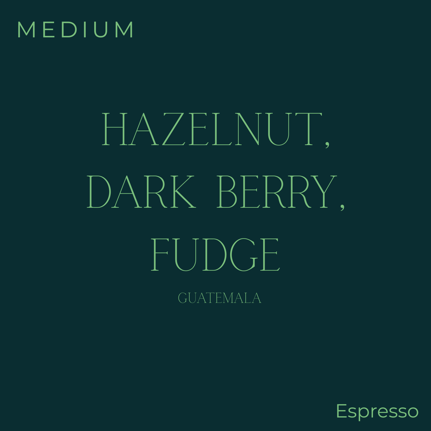 (DISCOUNT) Subtext - Guatemala - Gregorio Pablo: Milk Espresso Coffee Beans
