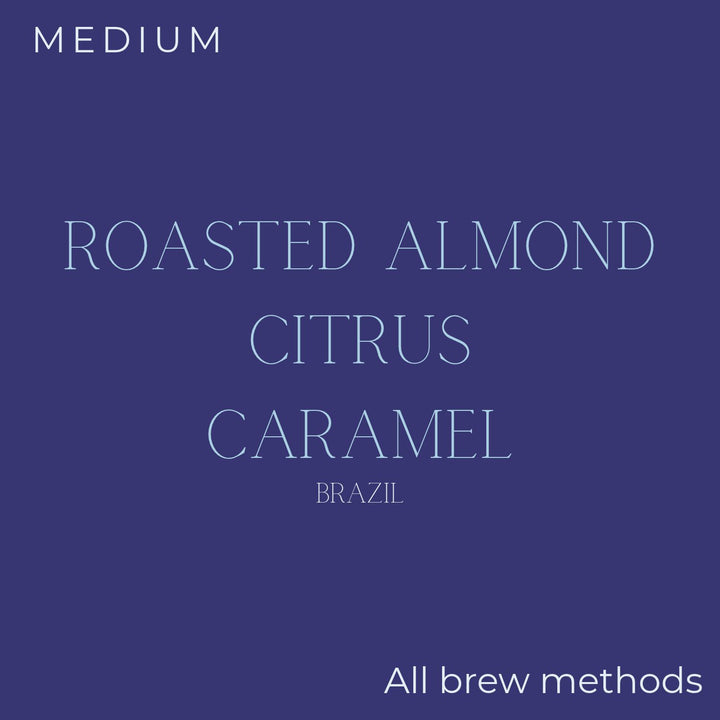 Sought x Found -Brazil Fazenda Um Mundo Novo Decaf Coffee Beans