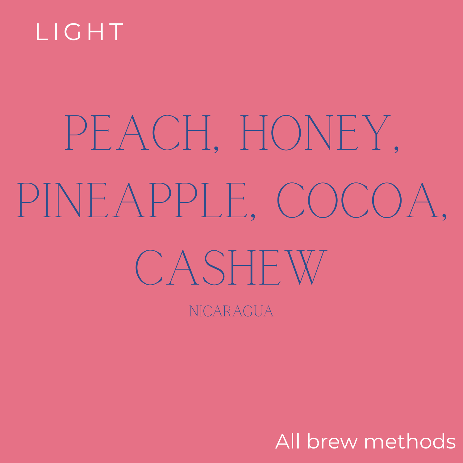 Rogue Wave Nicaragua - Finca Un Regalo De Dios Yellow Catuai Coffee Beans