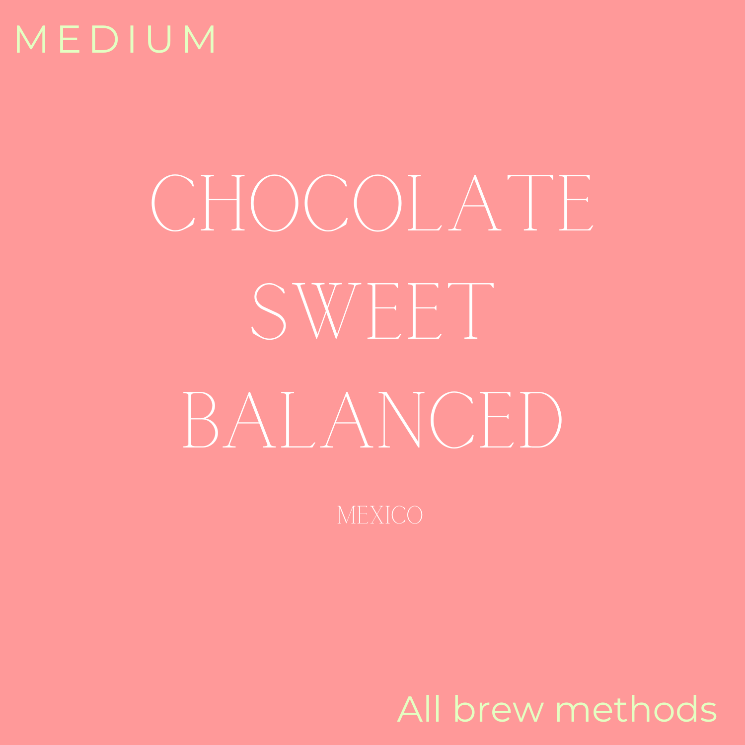 Birdy Coffee Co. Night Owl Decaf Coffee Beans