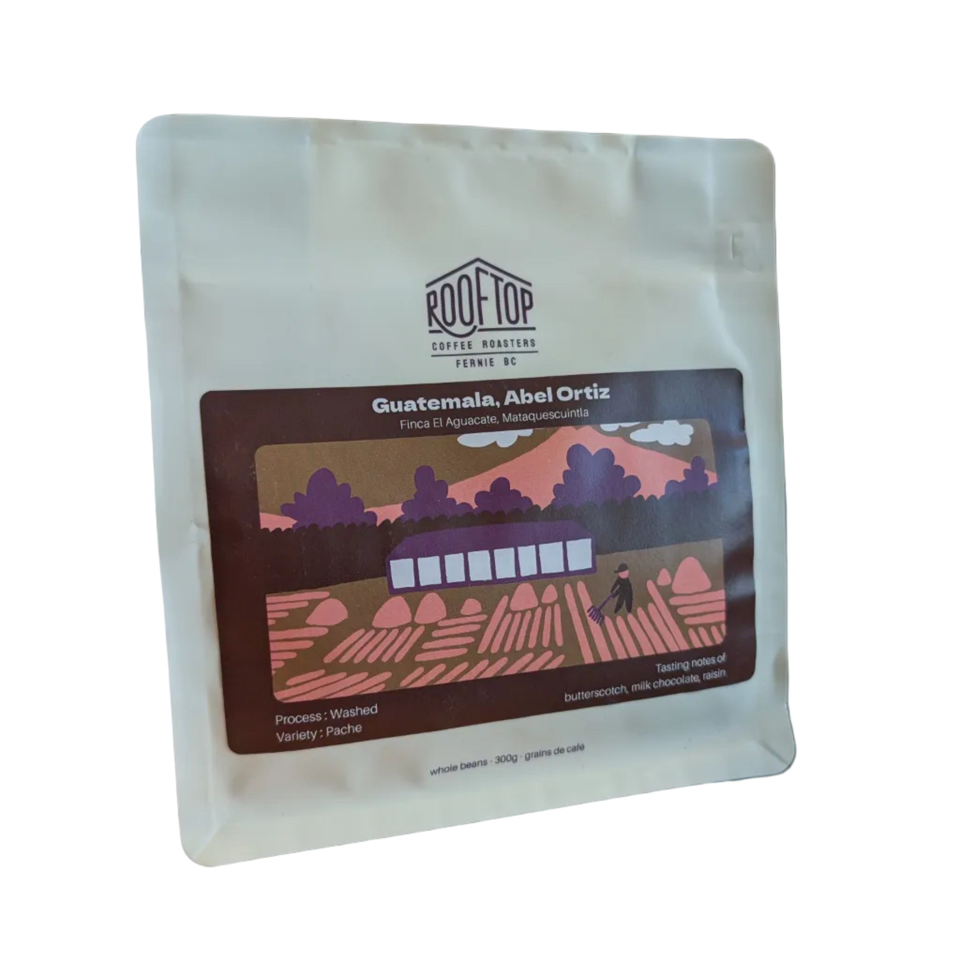 Rooftop - Guatemala - Abel Ortiz Coffee Beans