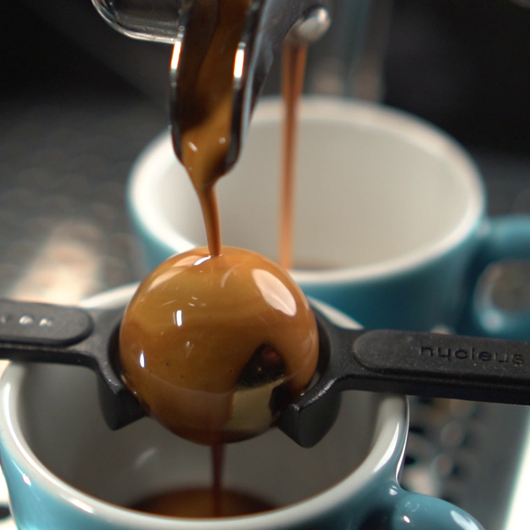 Nucleus Paragon Espresso