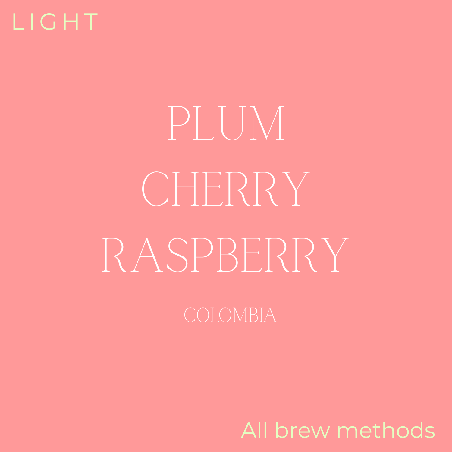 Birdy - Colombia - Knuckle Plum Coffee Beans