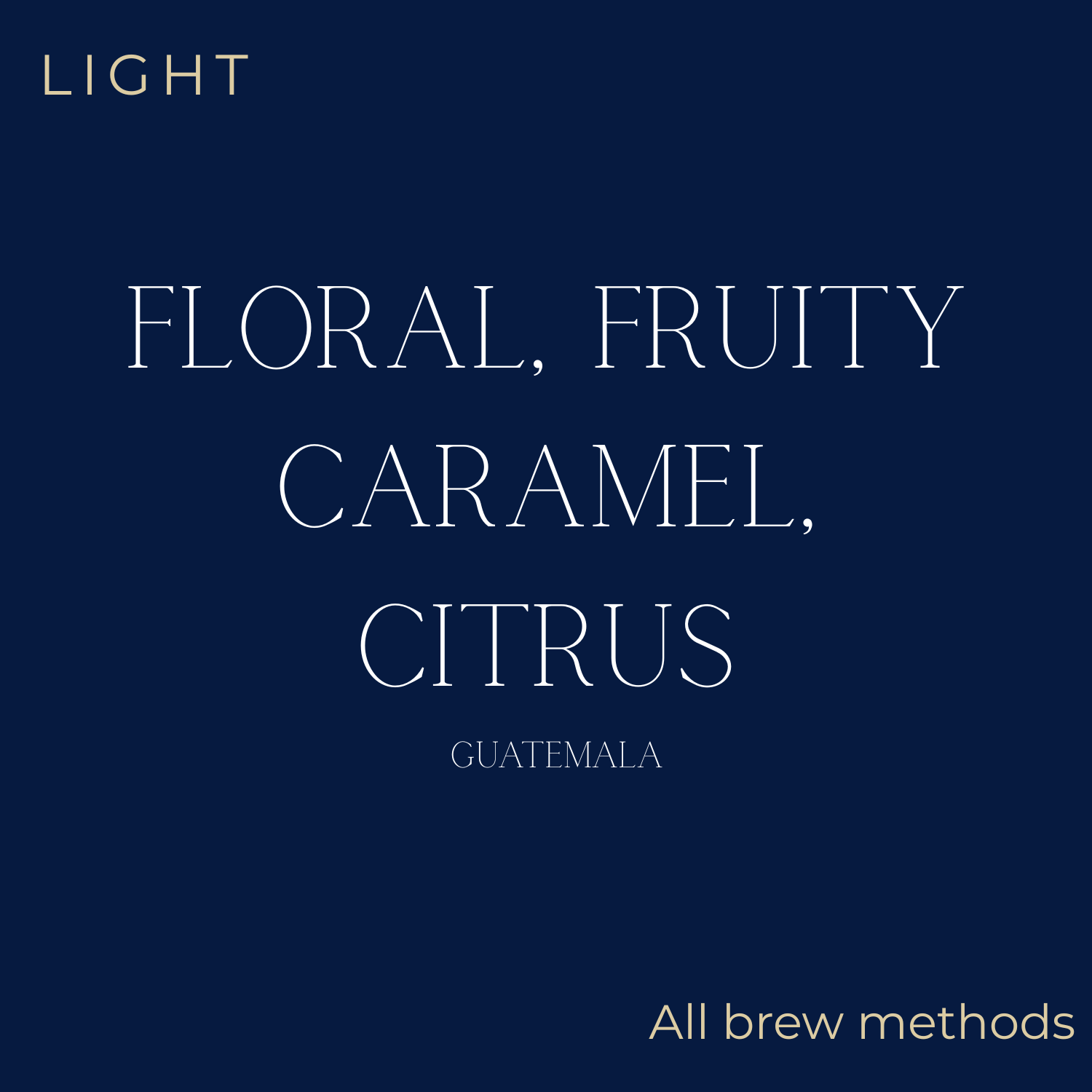 Sierra Las Minas Finca Quebrada Seca Coffee Beans