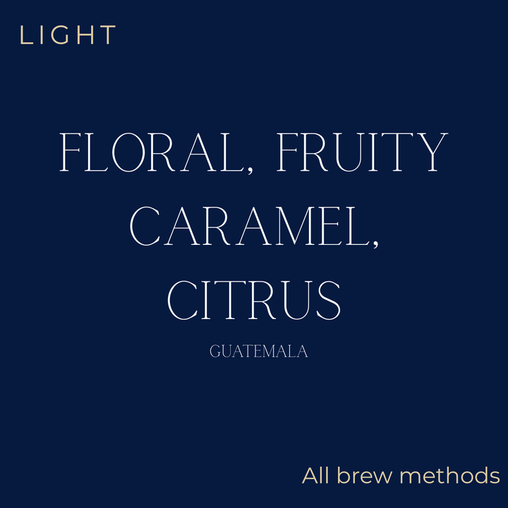 Sierra Las Minas - Finca Quebrada Seca Coffee Beans