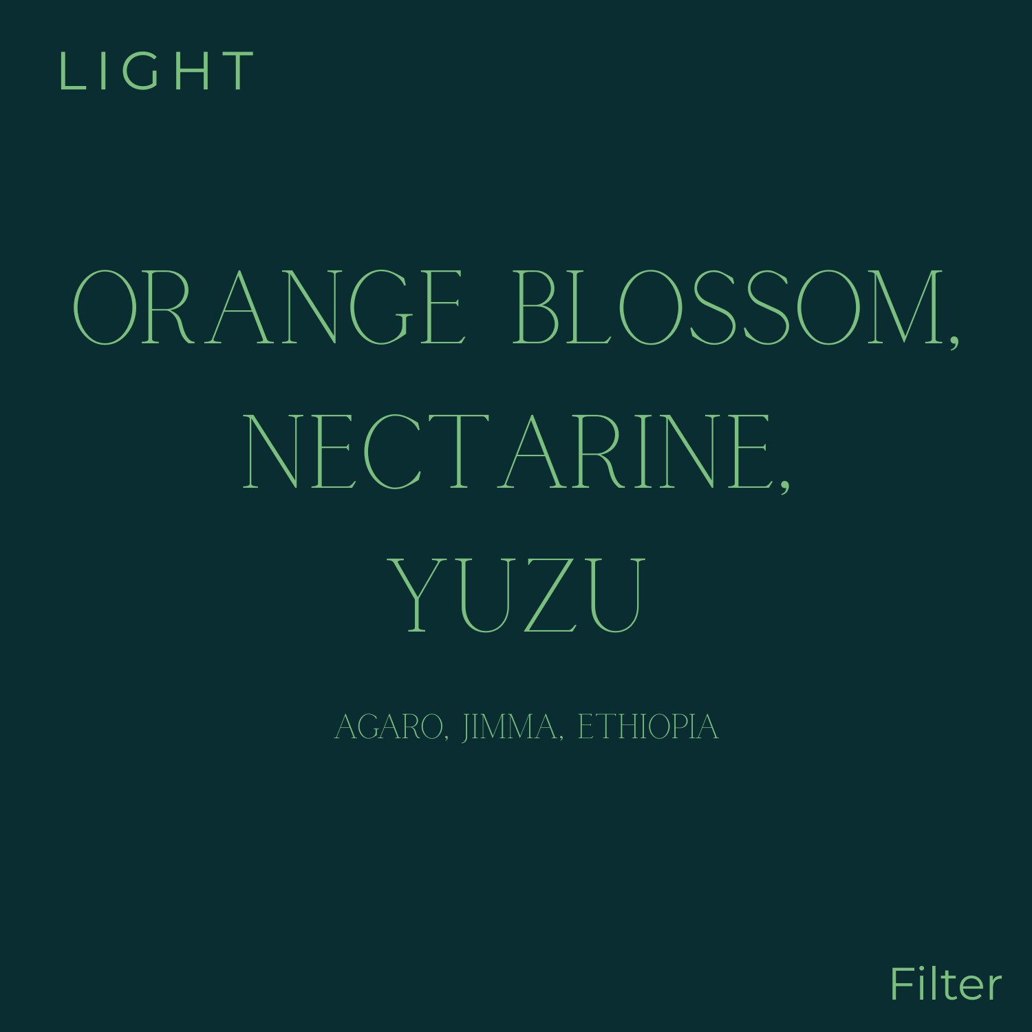 Subtext - Peru - Alarcon Family: Washed Bourbon Coffee Beans