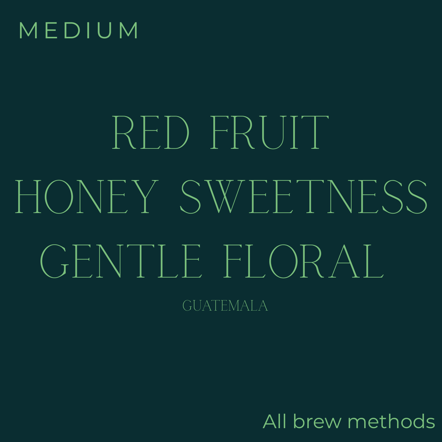 Subtext - Guatemala - Rosendo & Evelim Coffee Beans