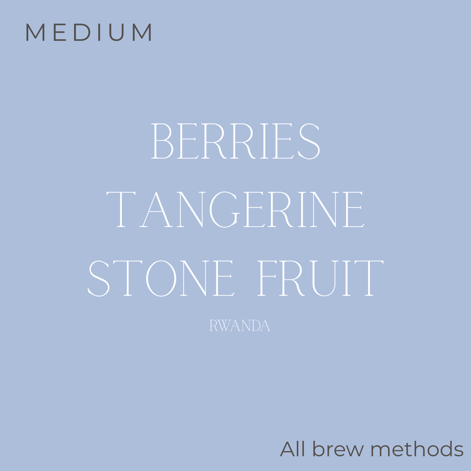 (DISCOUNT) Eclipse Coffee Roasters Jarama Rwanda Coffee Beans