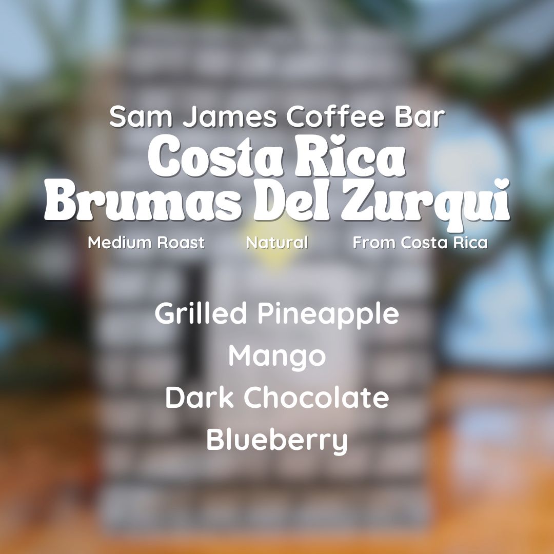 Sam James Coffee Bar Costa Rica Brumas Del Zurqui Coffee Beans