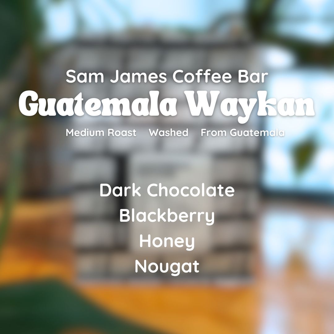 Sam James Coffee Bar Guatemala Waykan Coffee Beans