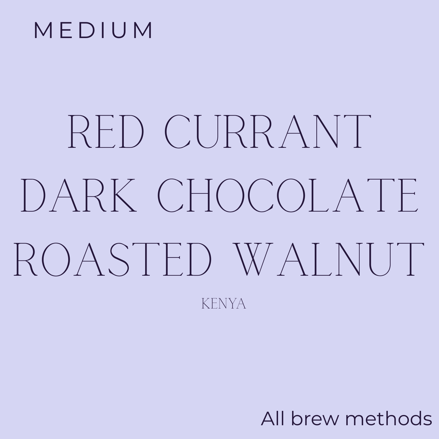 (DISCOUNT) Paradigm Spark - Flashback Single Origin Coffee Beans