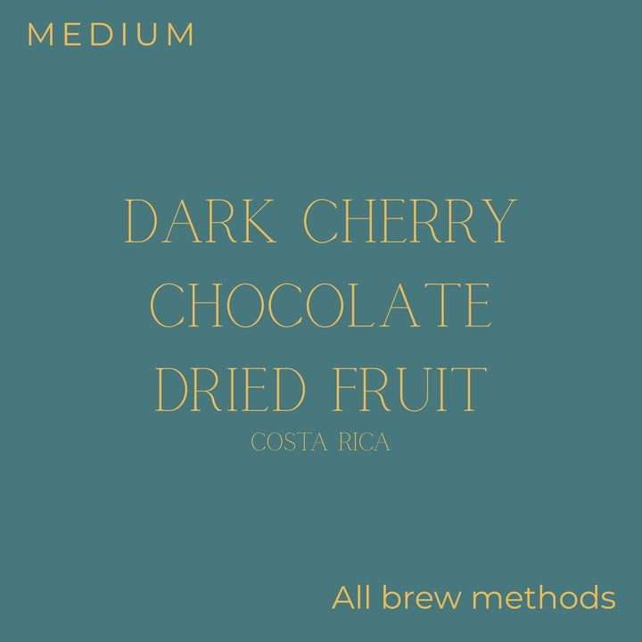 Transcend Coffee - Costa Rica - Sumava Black Cherry Coffee Beans