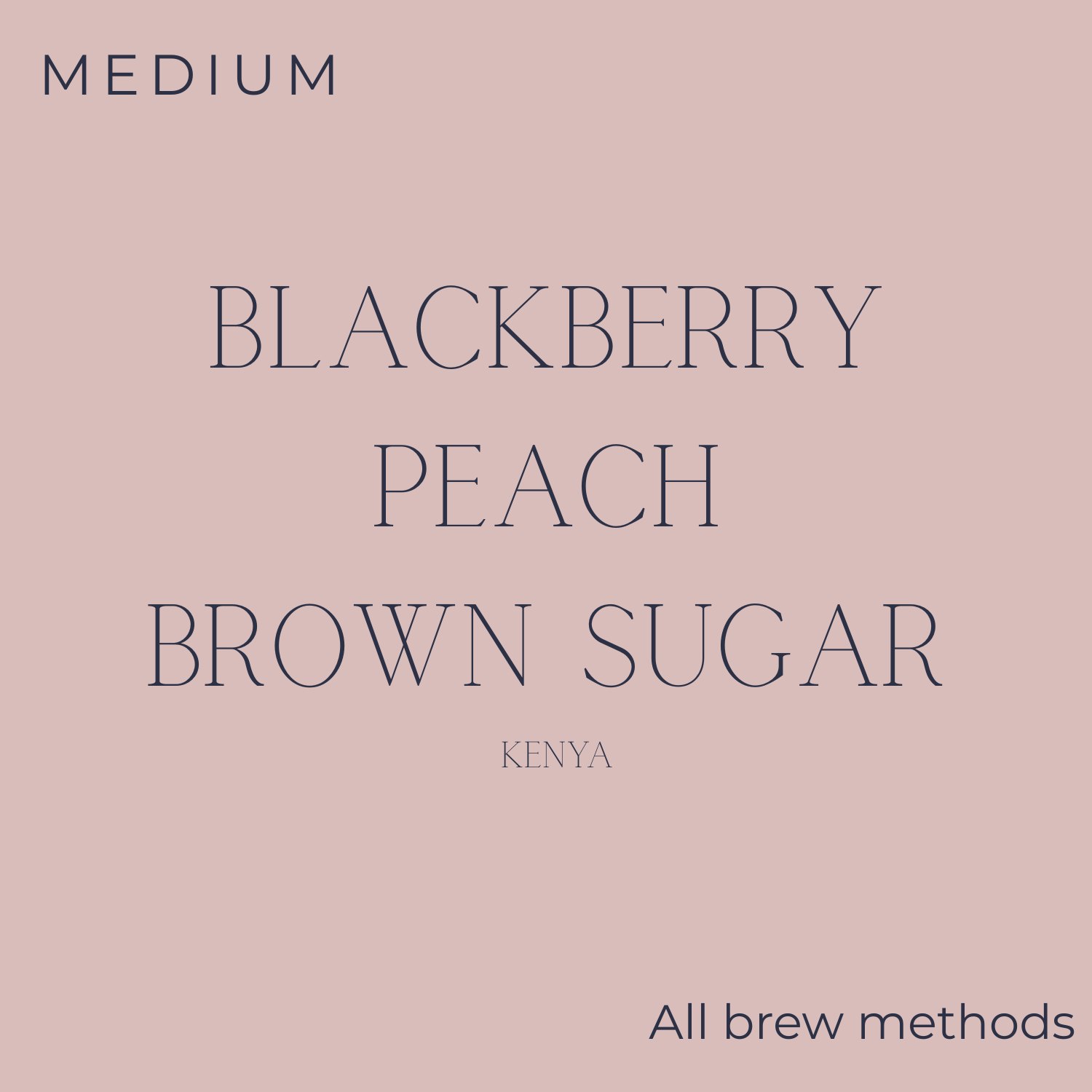 Bards Beans The Tempest Coffee Beans