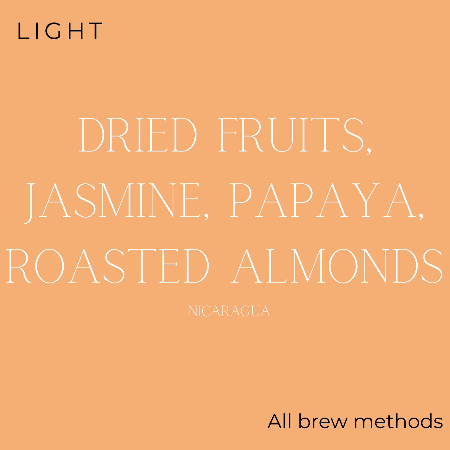 Kingdom Coffee The Light Coffee Beans