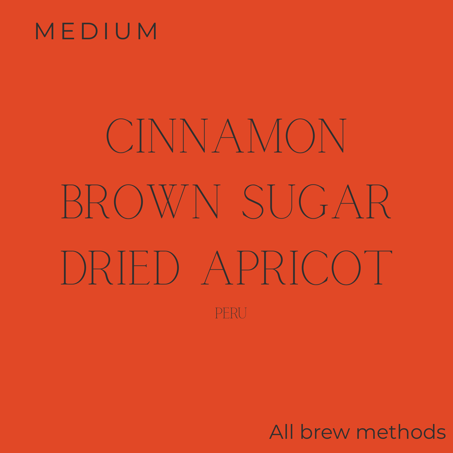 Dark Woods Traveler Coffee Beans