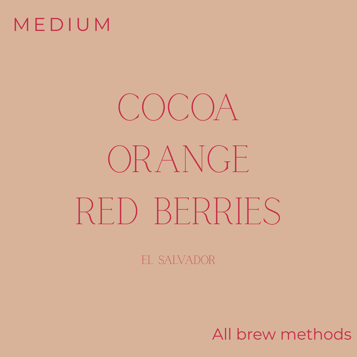 Brewlant - El Salvador - Velvet Bourbon Coffee Beans
