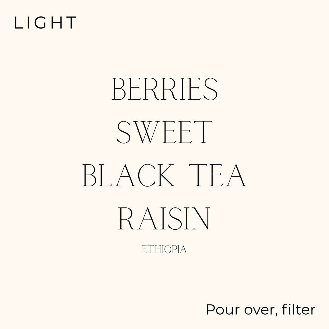 évery - Ethiopia - Yirgacheffe Edido G2 Coffee Beans