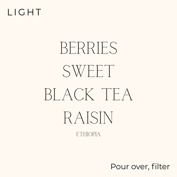 évery - Ethiopia - Yirgacheffe Edido G2 Coffee Beans