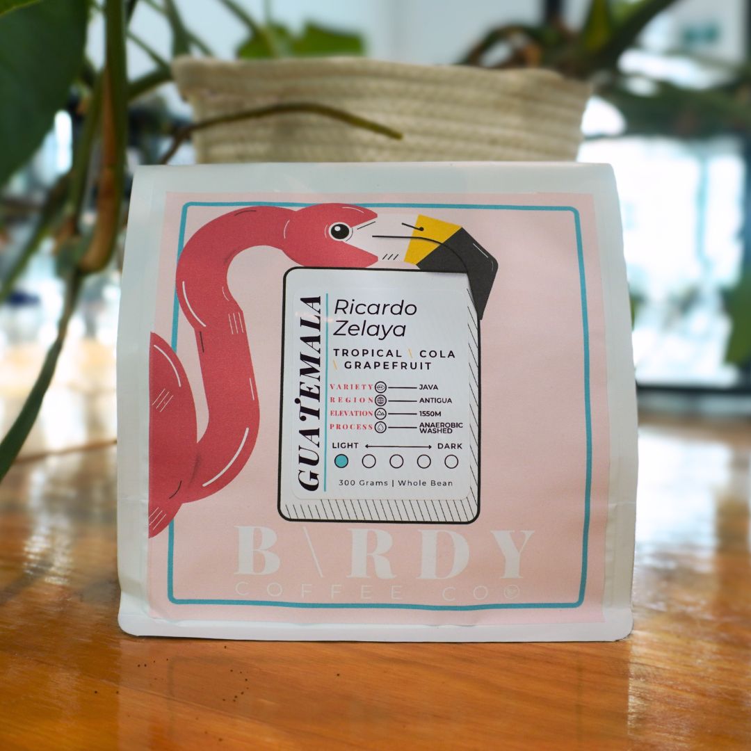 Birdy Coffee Co. Guatemala Ricardo Zelaya Coffee Beans