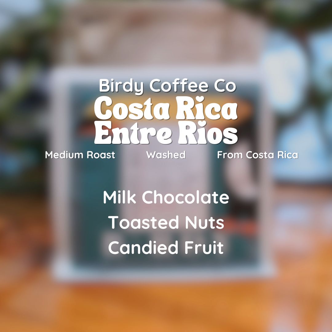 Birdy Coffee Co. Costa Rica Entre Rios Coffee Beans