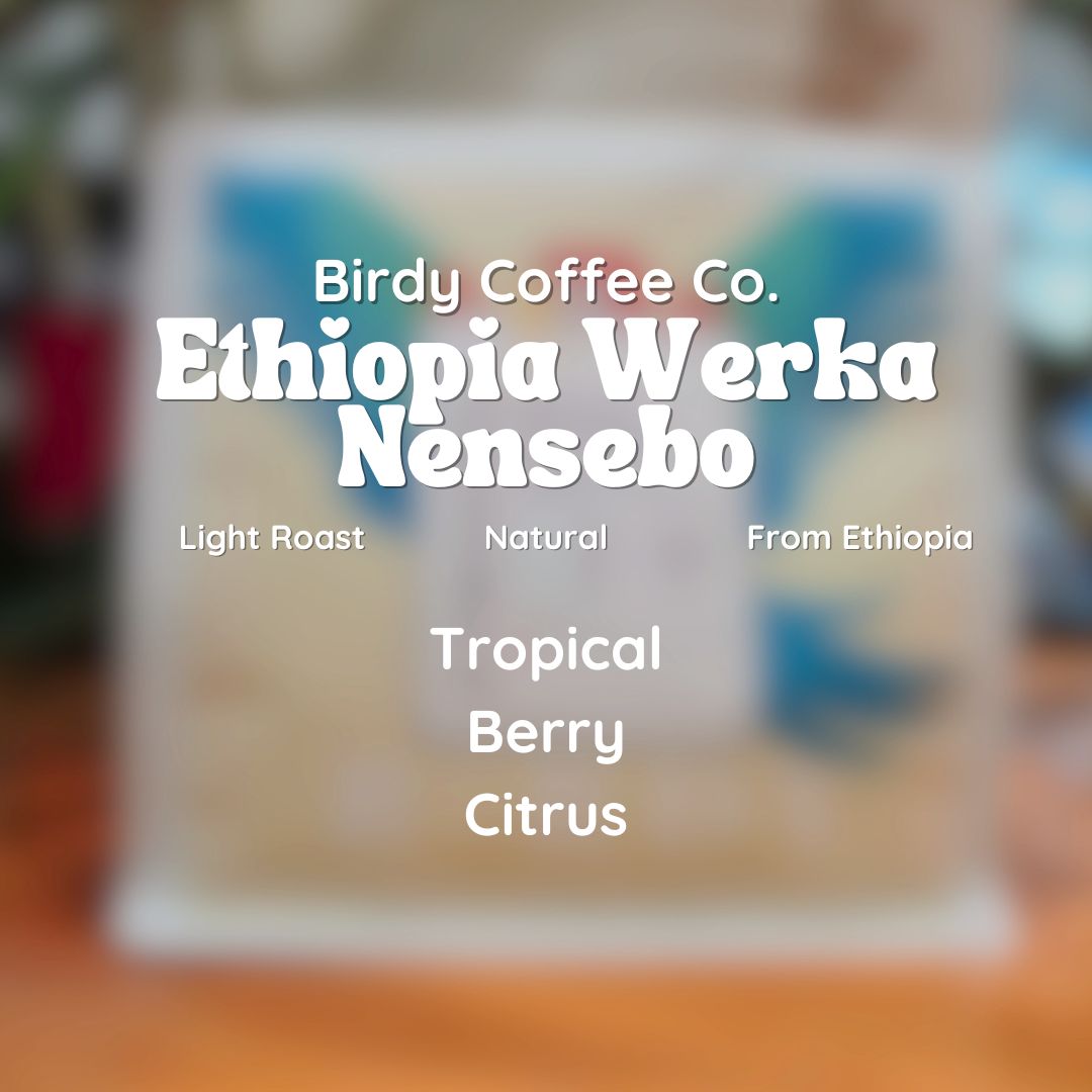 Birdy Coffee Co. Ethiopia Werka Nensebo Coffee Beans