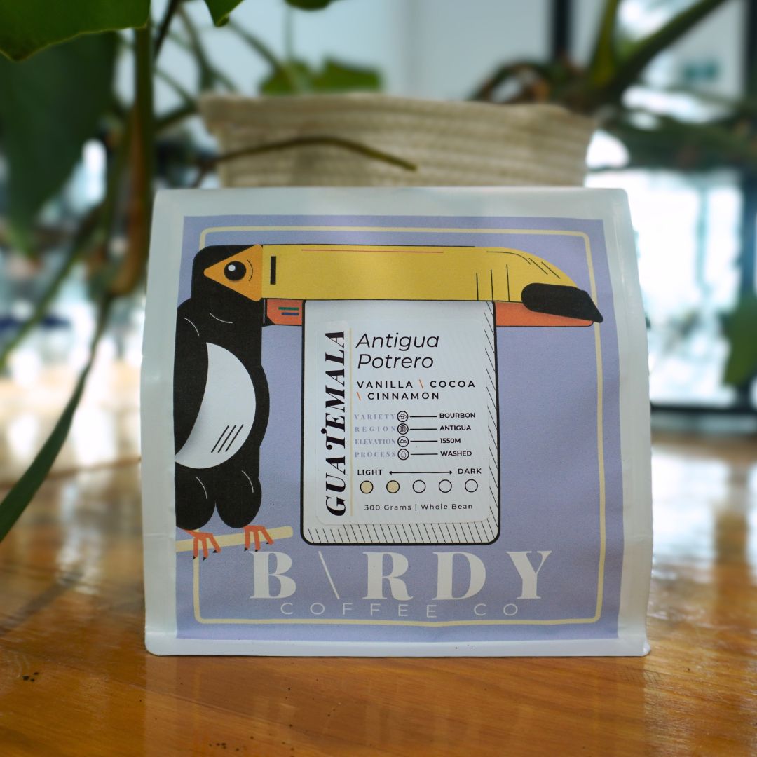 Birdy Coffee Co. Guatemala Antigua Potrero Coffee Beans