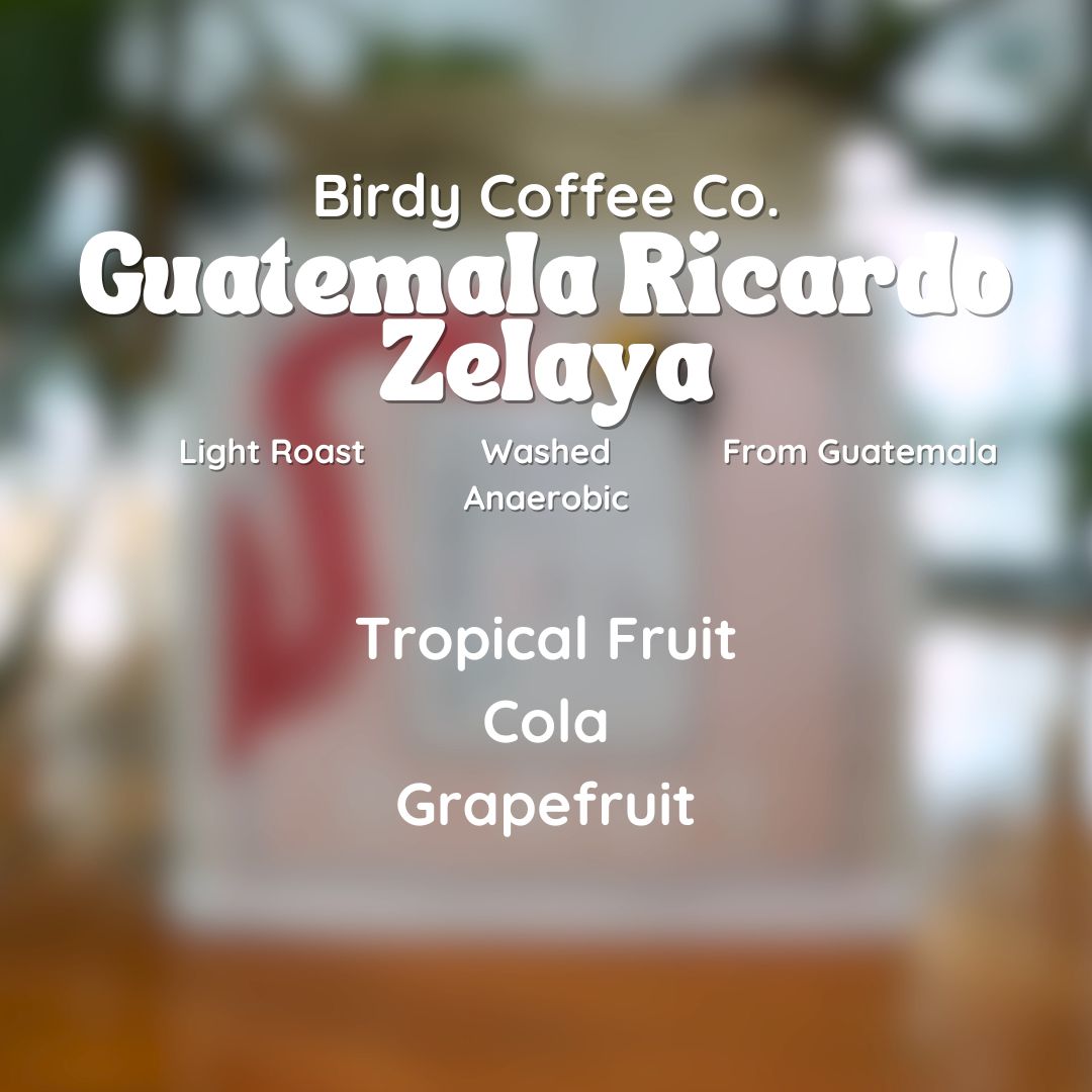 Birdy Coffee Co. Guatemala Ricardo Zelaya Coffee Beans