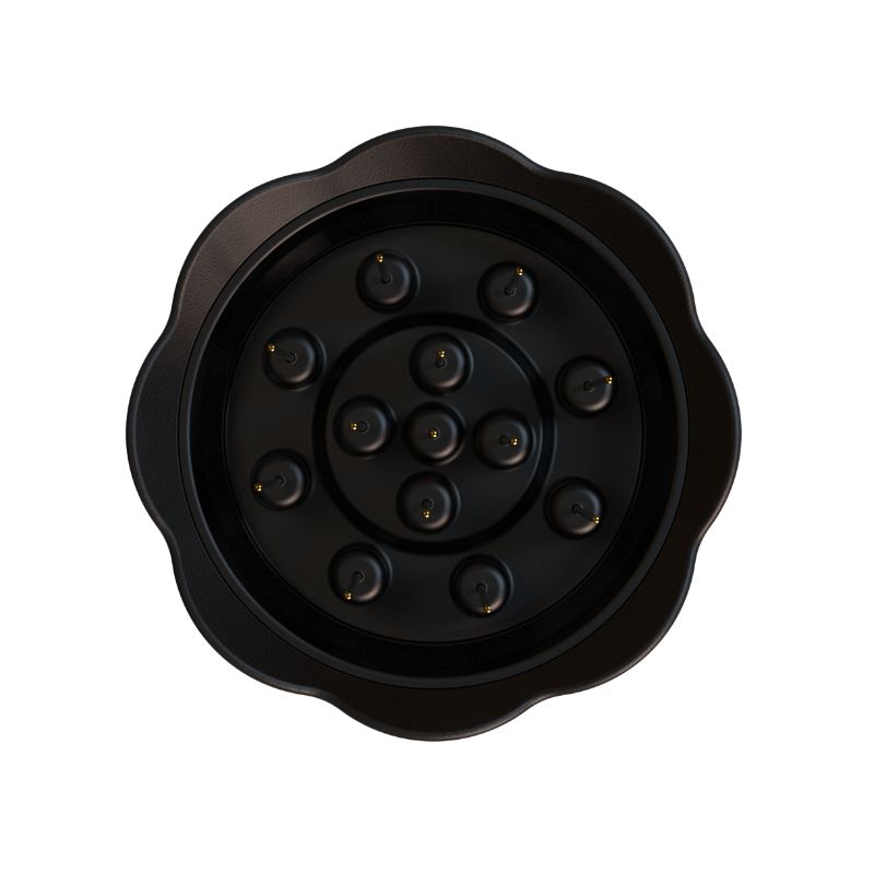 Nucleus Bloom Distribution Tool