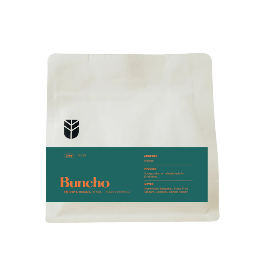 Subtext - Ethiopia - Buncho Filter Coffee Beans