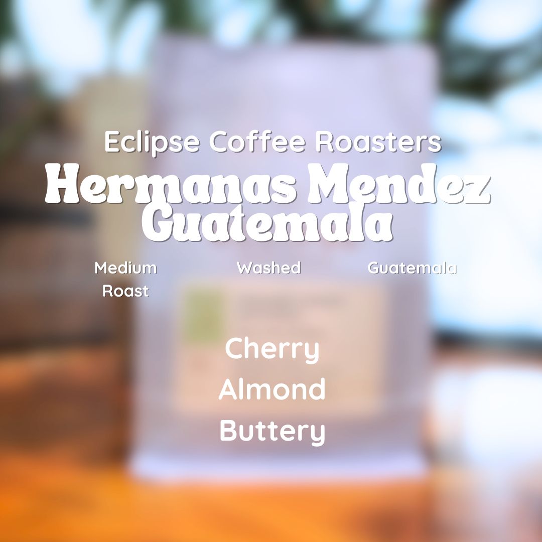 Eclipse Coffee Roasters Hermanas Mendez Guatemala Coffee Beans