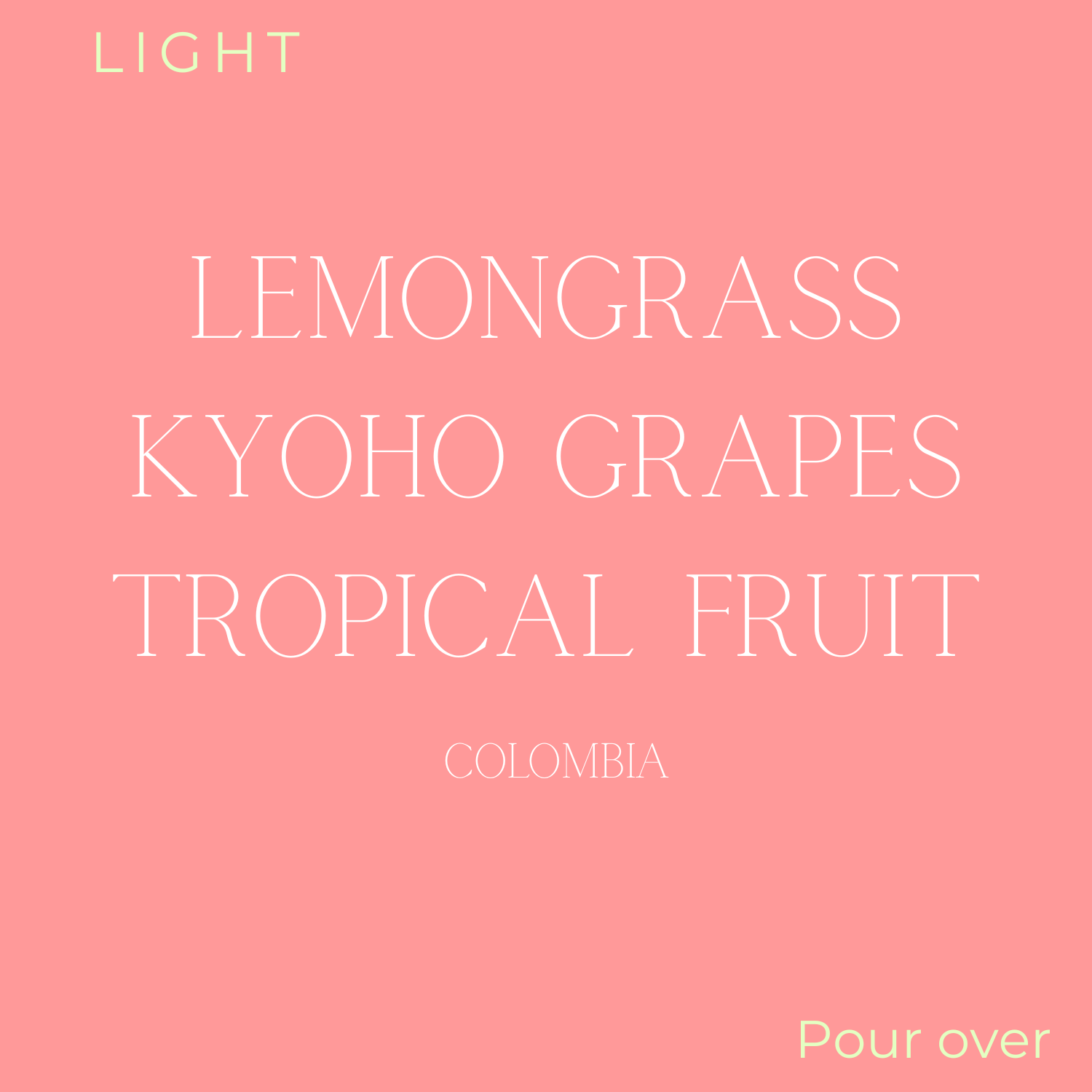 Birdy Coffee Co. Frooty Loops Gesha Coffee Beans