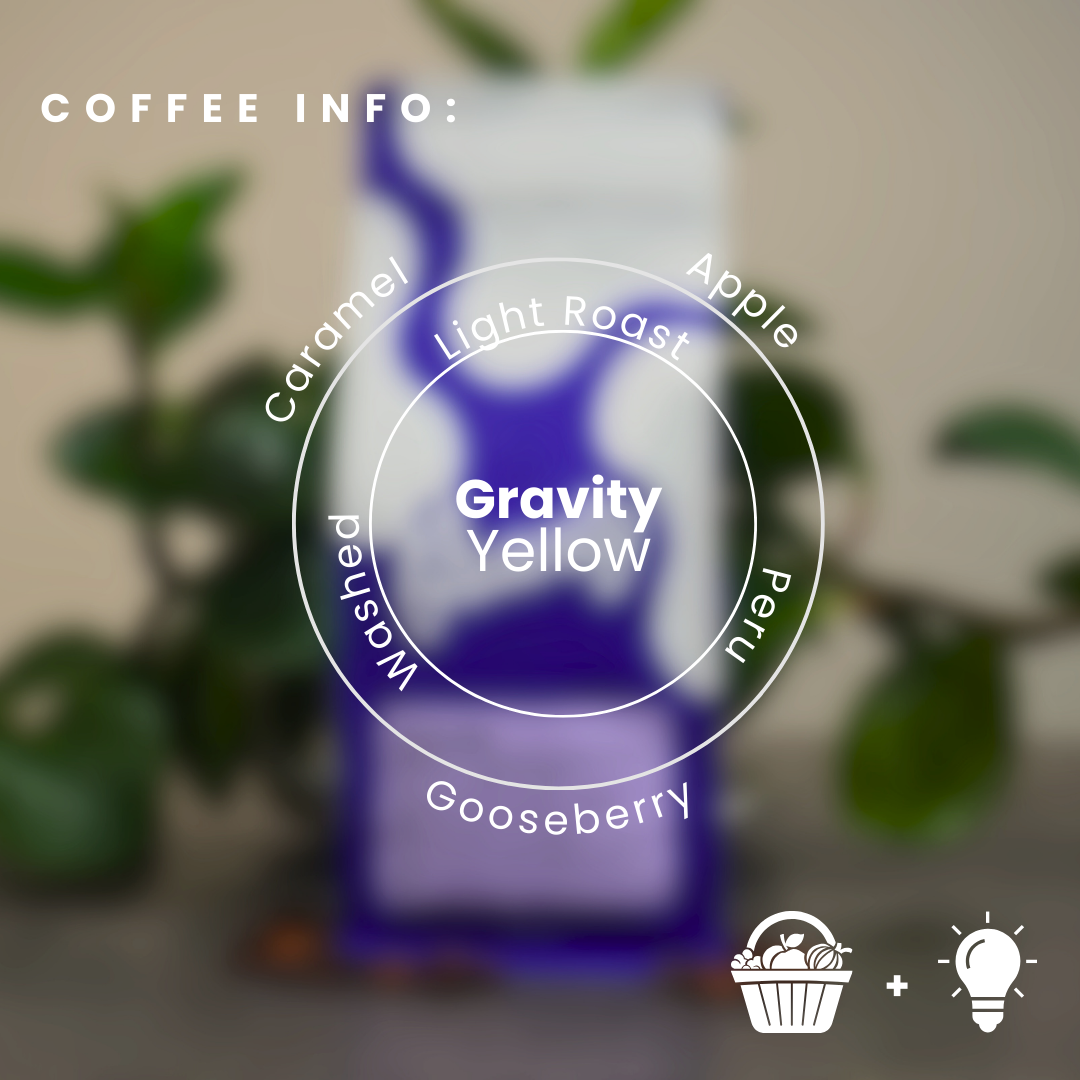 (DISCOUNT) Gravity Yellow Coffee Beans