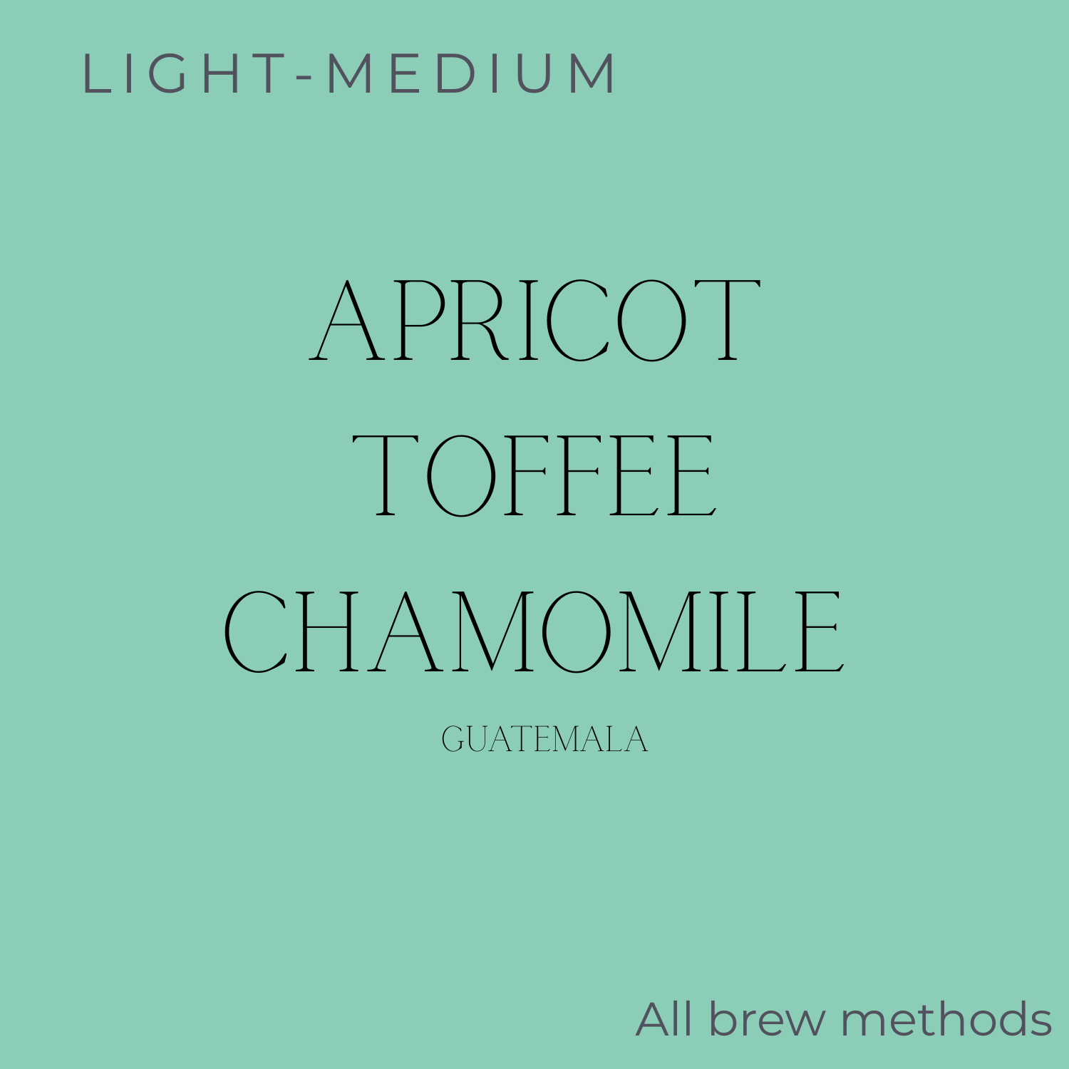 (DISCOUNT) Rooftop Guatemala Santa Clara Coffee Beans