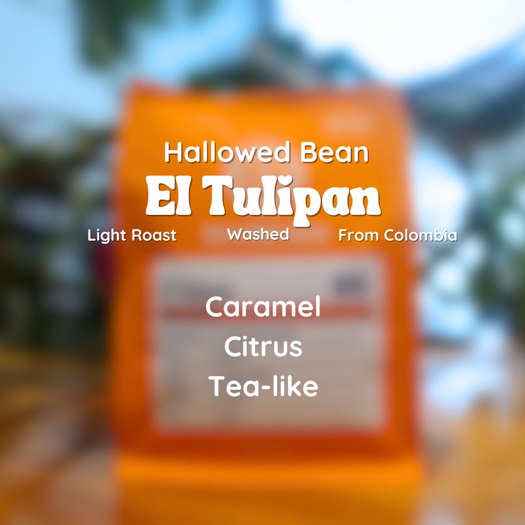 Hallowed Bean El Tulipan Coffee Beans