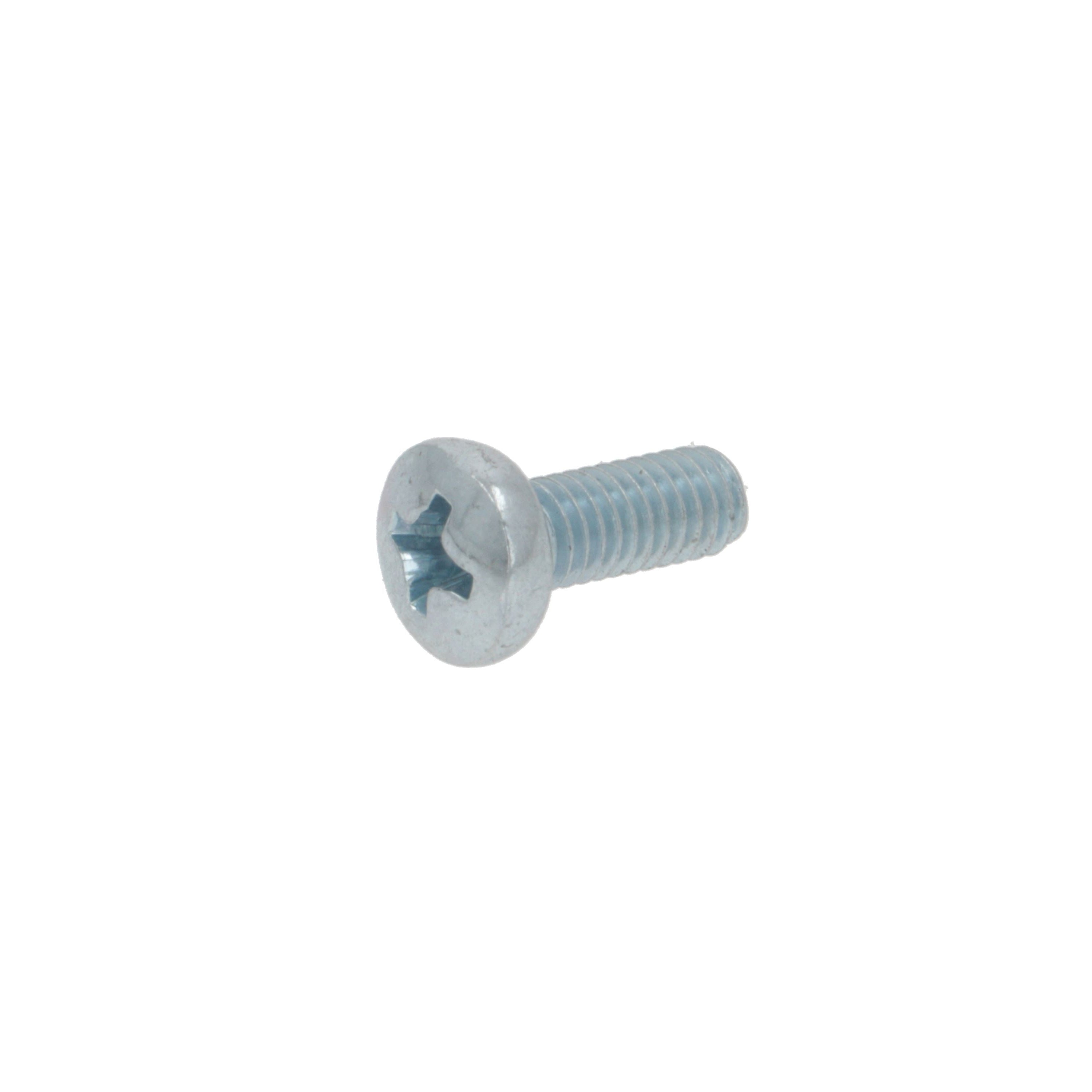 M4 x 10mm Screw
