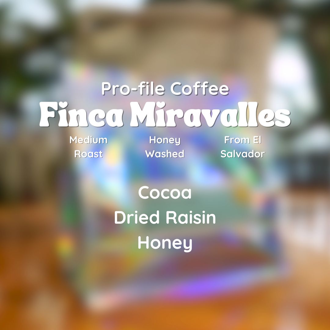 Pro-file Coffee Finca Miravalles Coffee Beans