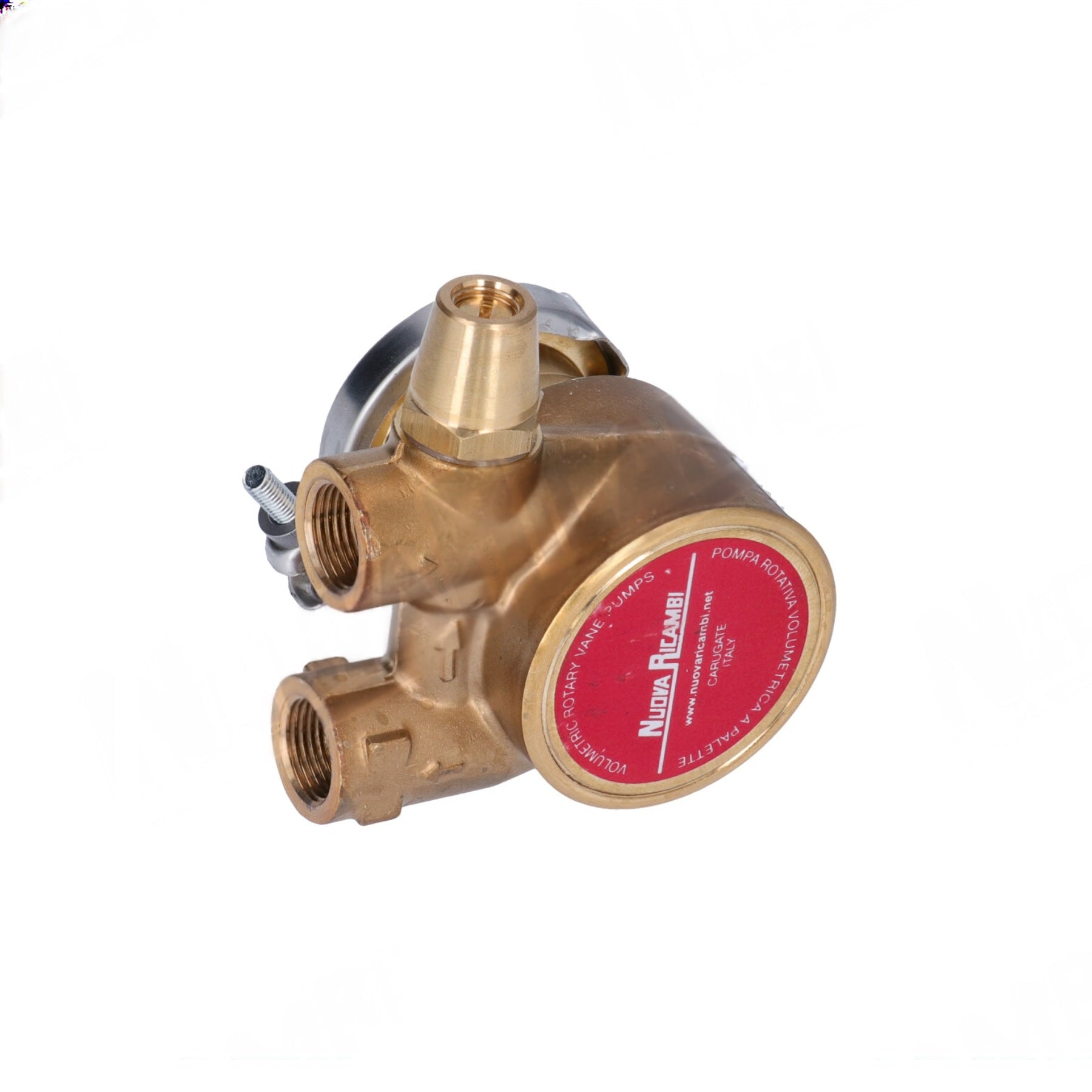 Nuert Rotary Vane Water Pump (50L/h)