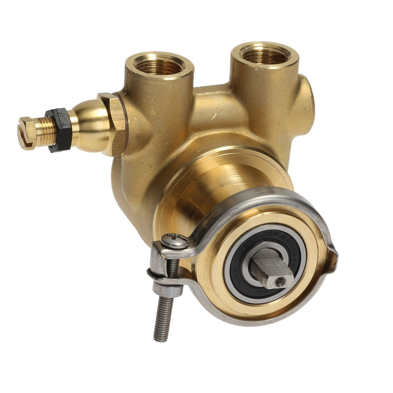 Fluid-O-Tech Rotoflow Rotary Vane Water Pump (50L/h)