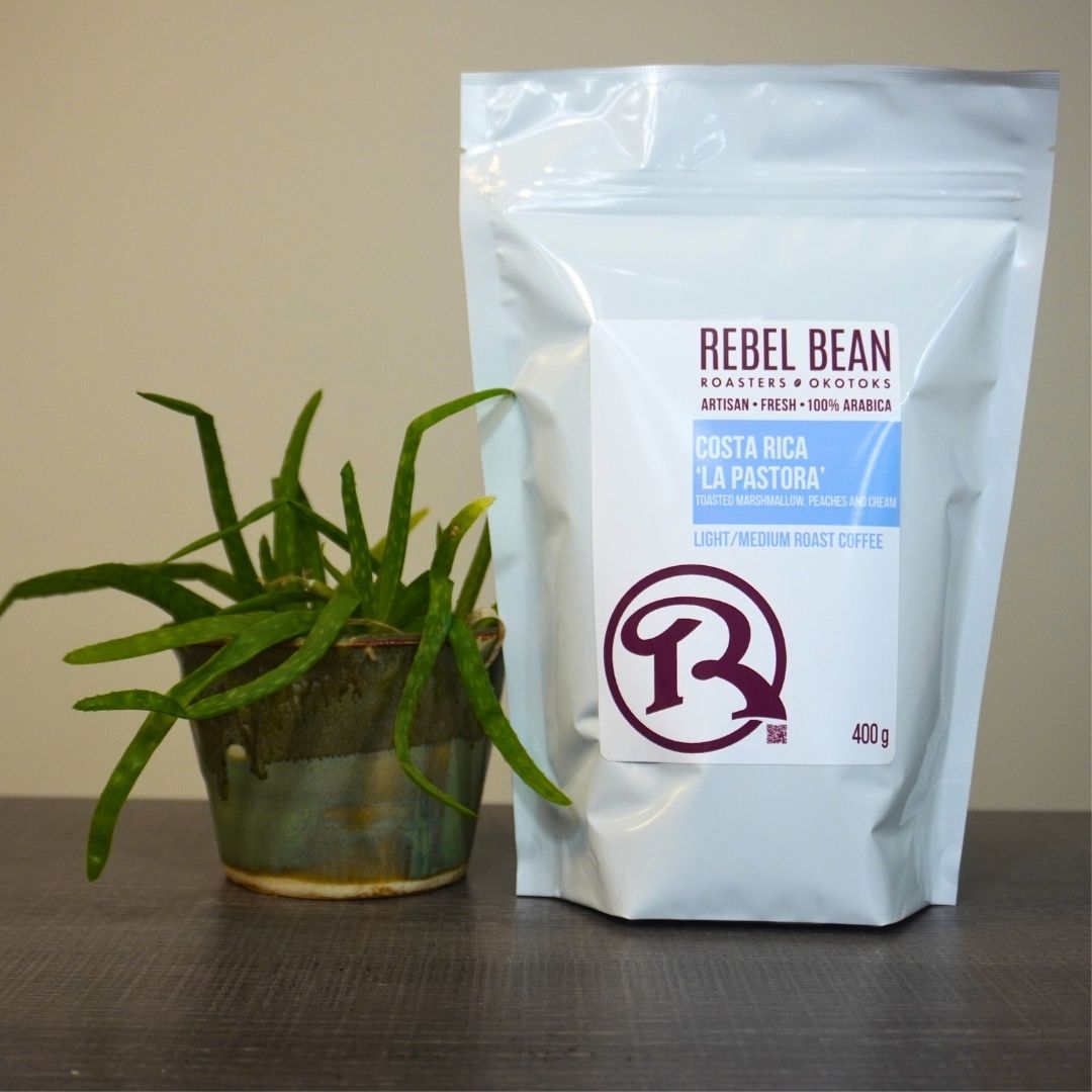 Rebel Bean Coffee Costa Rica La Pastoria Coffee Beans