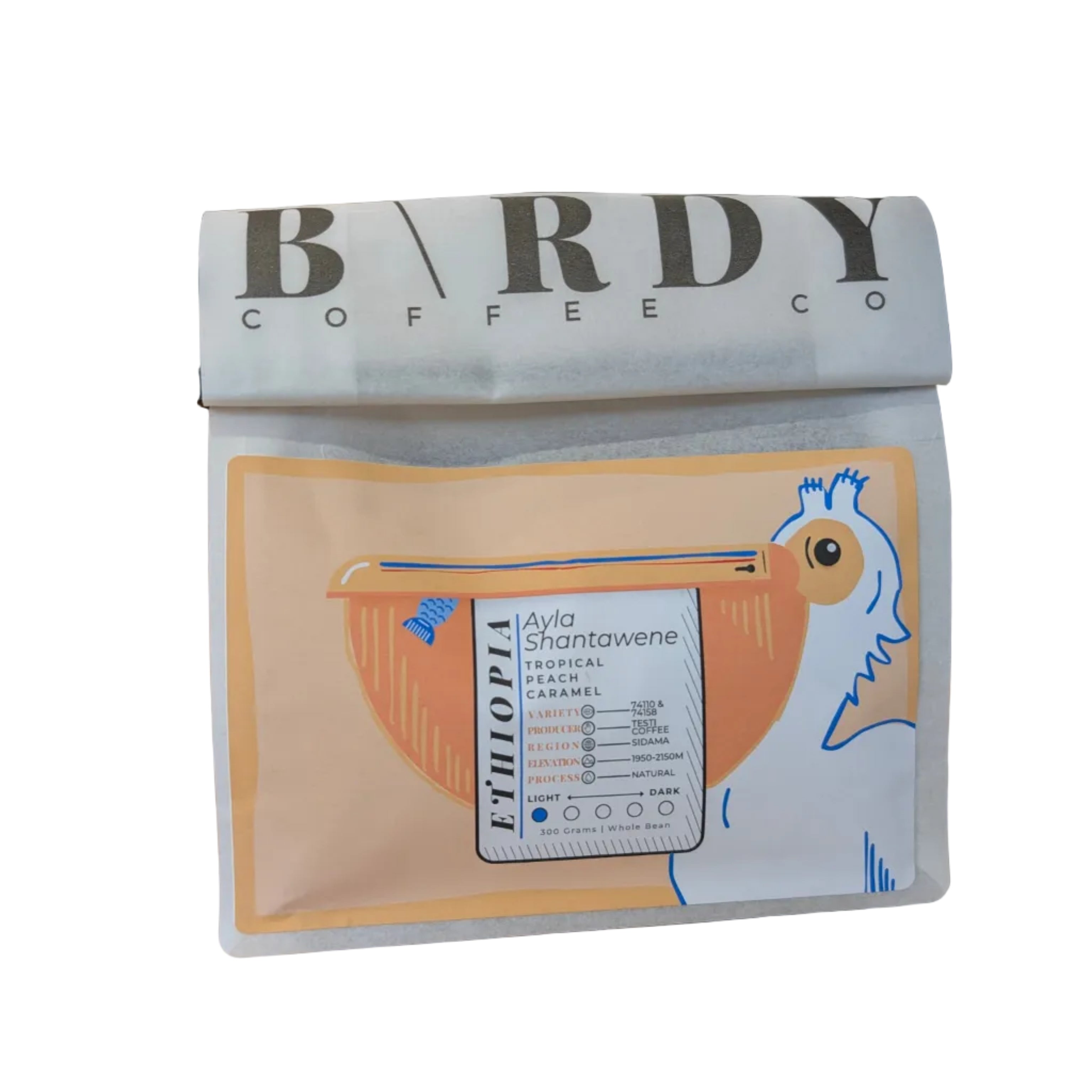 Birdy - Ethiopia - Ayla Shantawene Coffee Beans