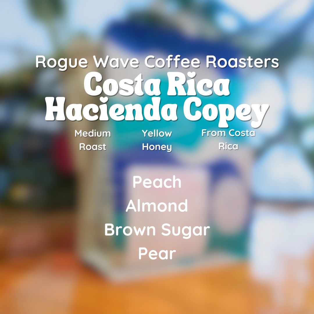 Rogue Wave Costa Rica Hacienda Copey Coffee Beans