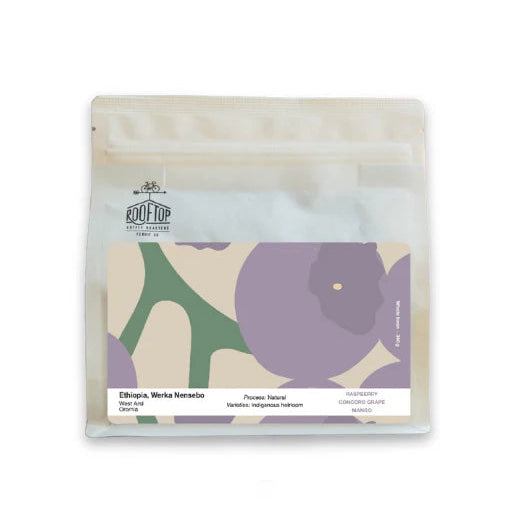 Rooftop - Ethiopia - Werka Nensebo Coffee Beans